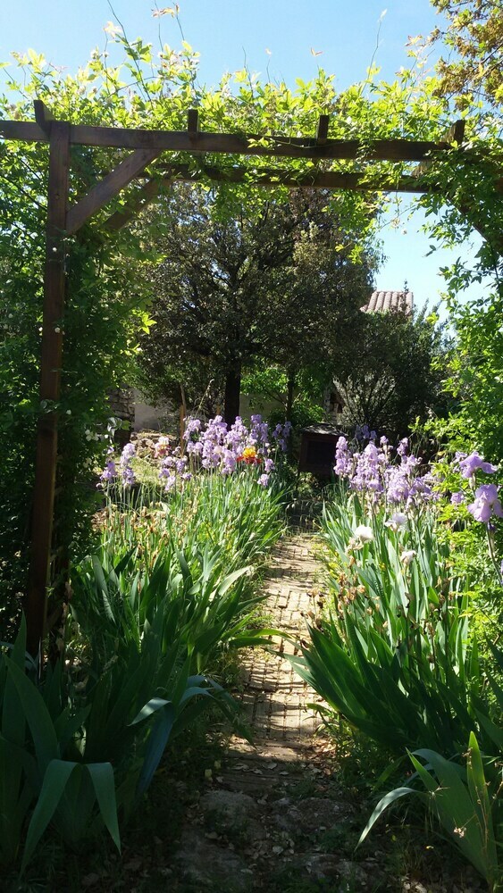Hotel Le Jardin D'adam B&B