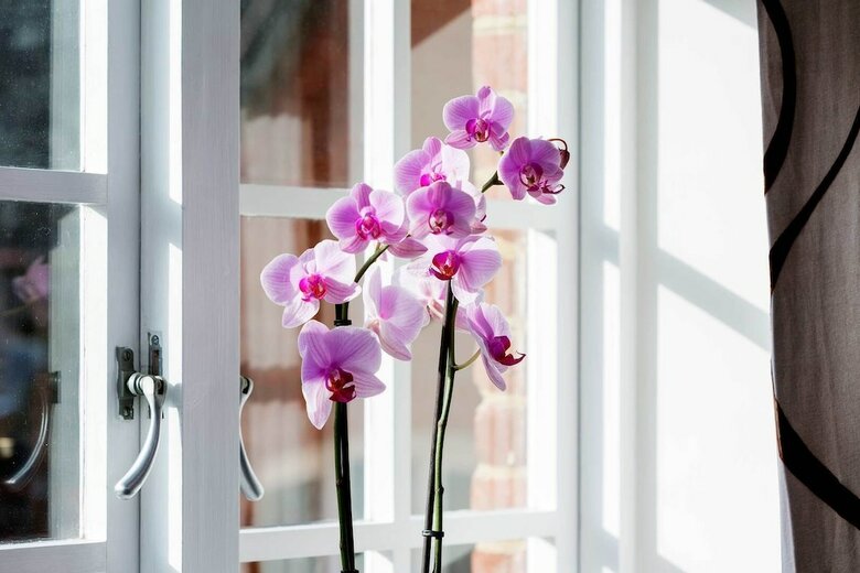 Apartamento Battersea Park Hideaway