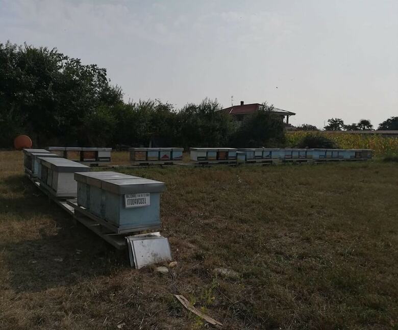 B&B La Dea Lumaca