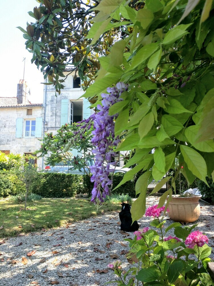 Bed & Breakfast Quai Des Fleurs Saint Savinien