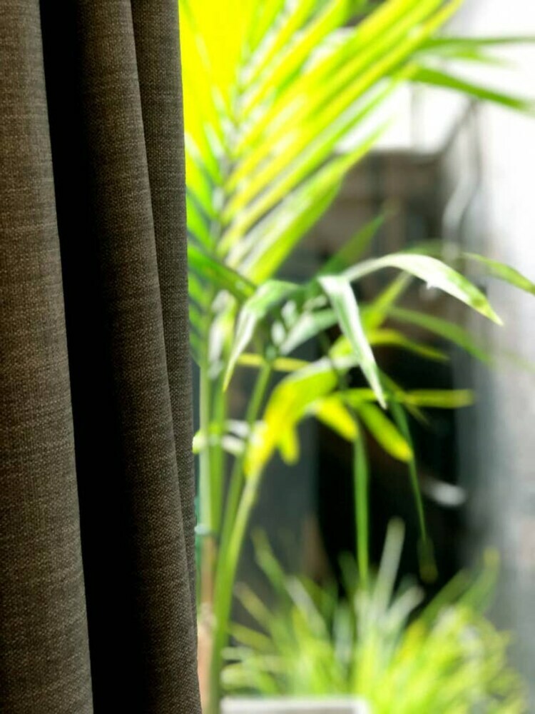 Modern Studio Apartment In Ponsonby Central