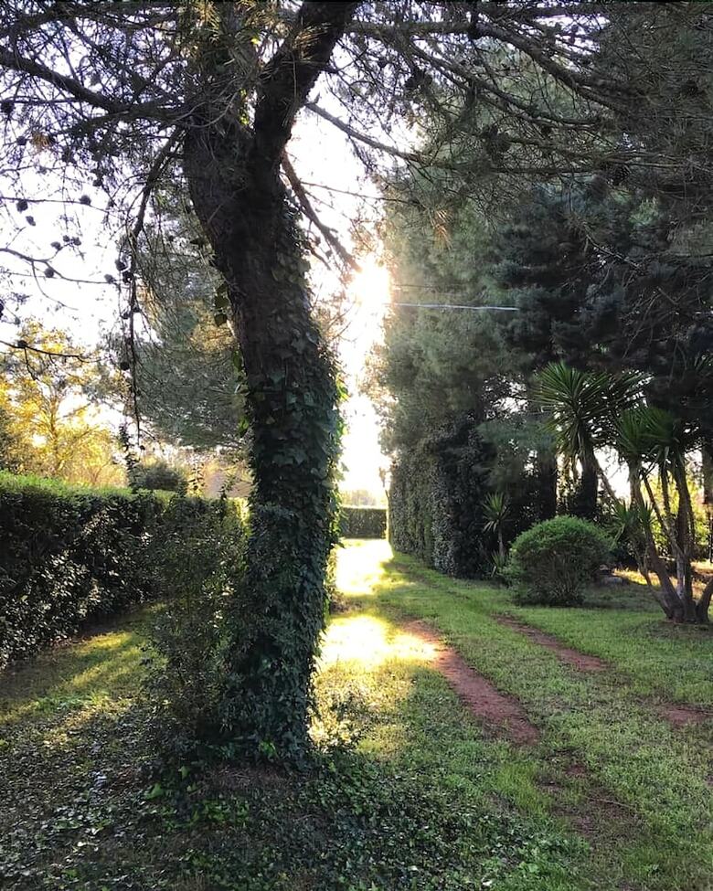 Bed & Breakfast Tenuta Paradisi