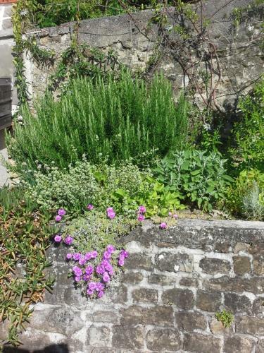 Apartments Piran Garden