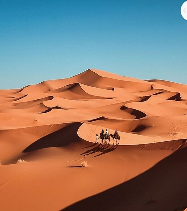 Hassan Desert Camp