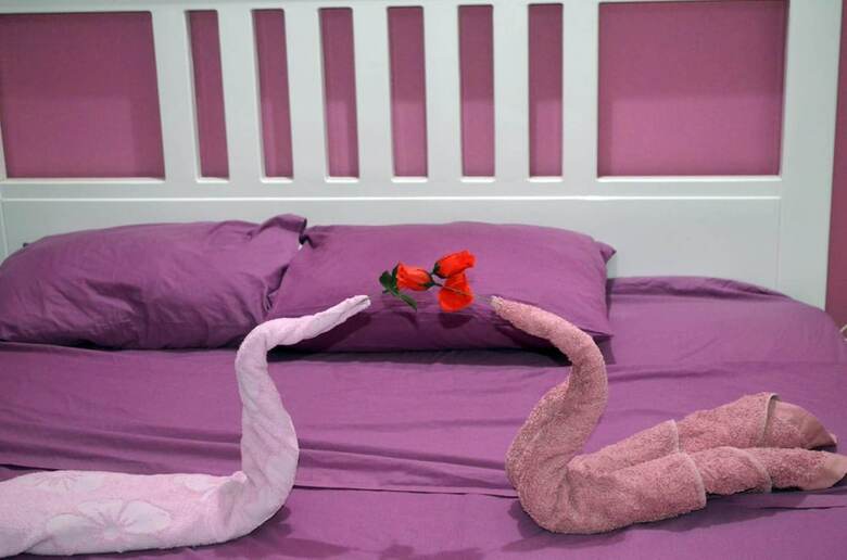 Hotel Hermina Guest House