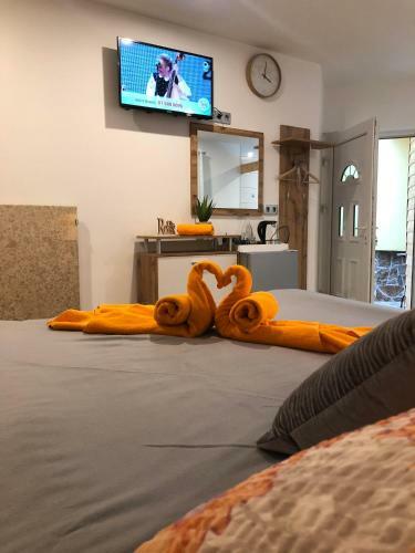 Koro?ec Apartments And Wellness Centre