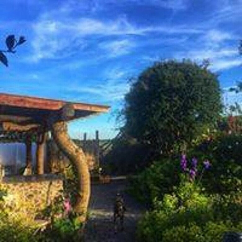 Apartamento Gracie's Lodge