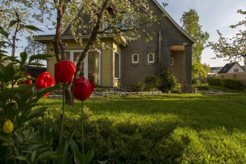 Kaevu Holiday House