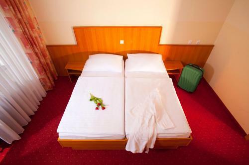 Terme Topolsica - Hotel Vesna
