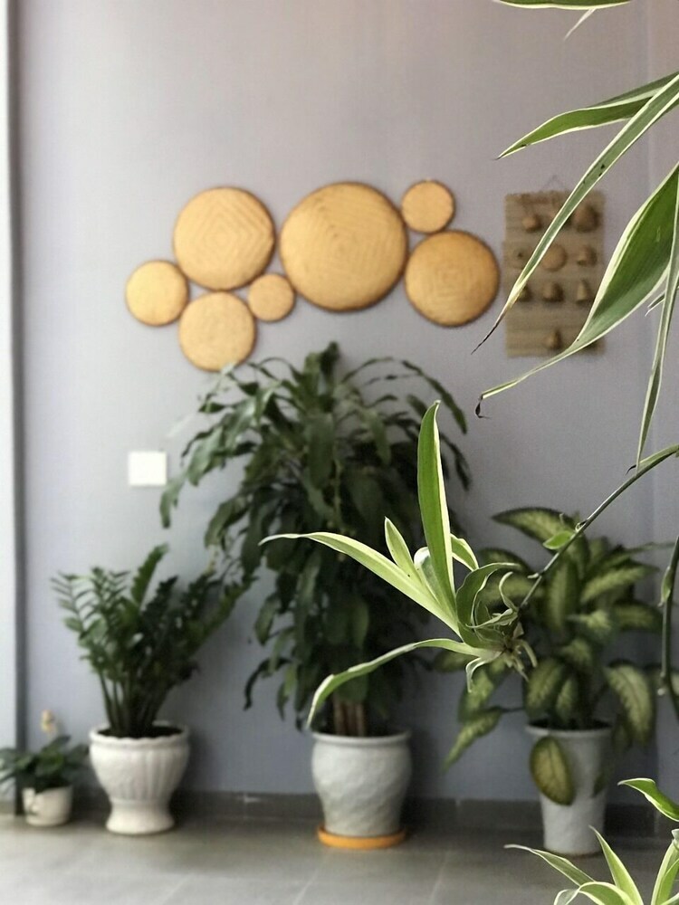Apartamentos Cosy House Da Nang