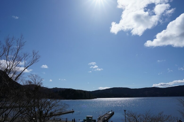 Hotel Hakone Villa Bizan