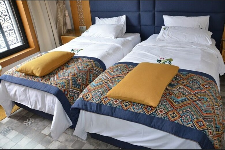 Hotel Villa Aralia