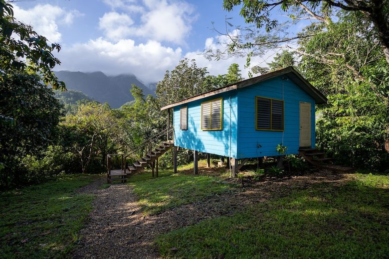 Posada T.r.e.e.s Research Center And Eco Lodge