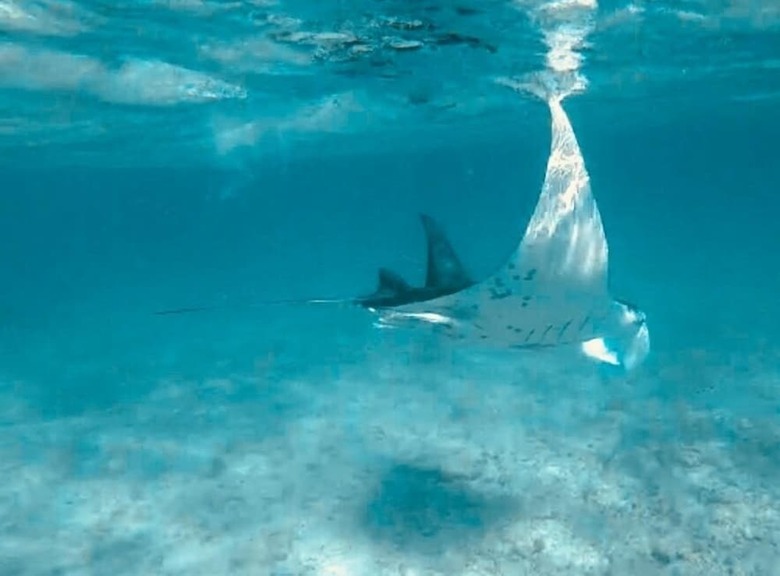 Hotel Le Fare Bleu