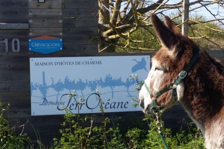 Bed & Breakfast Domaine Terroc�ane