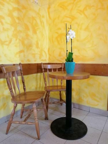 Hostal Apartment Modrina