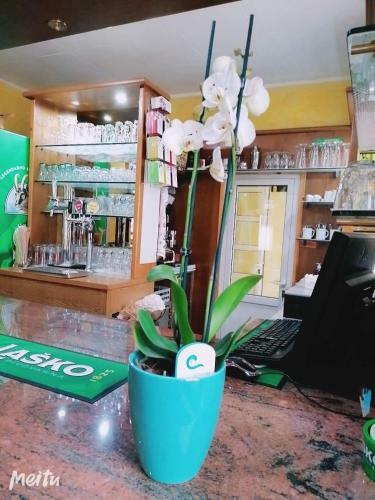 Hostal Apartment Modrina