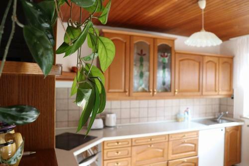 Apartment Plazar