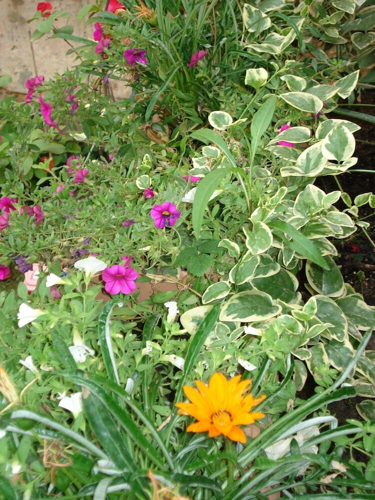 Il Giardino Segreto