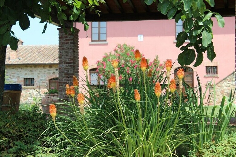 Agroturismo Agriturismo Il Querciolo