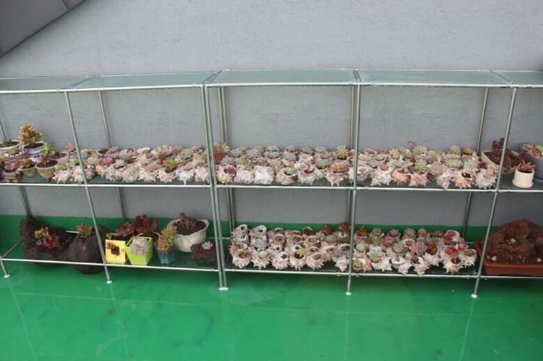 Eutteum Won Pension