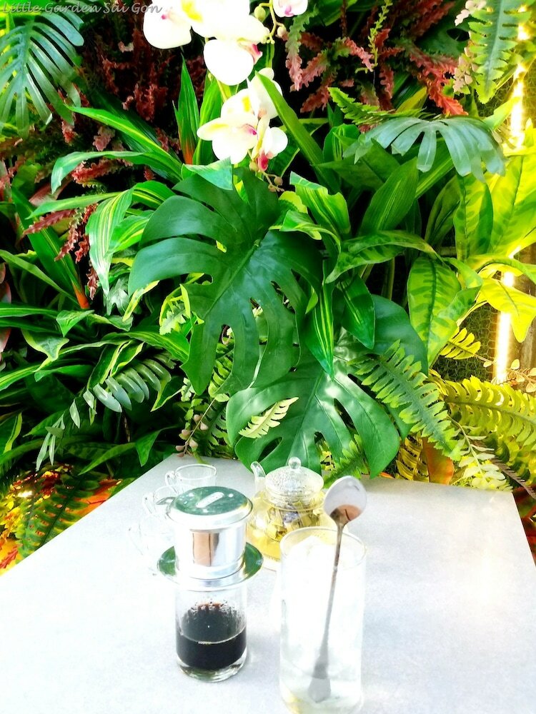 Hostal Little Garden Hostel