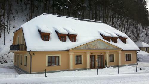 Apartm�ny Weissov Dom