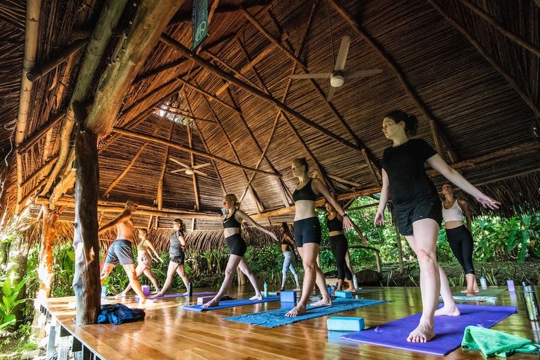 Posada Jungle Lodge At Wild Sun Rescue