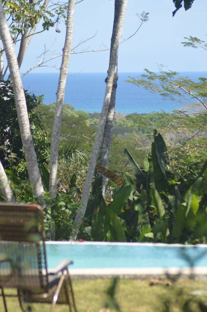 Posada Jungle Lodge At Wild Sun Rescue