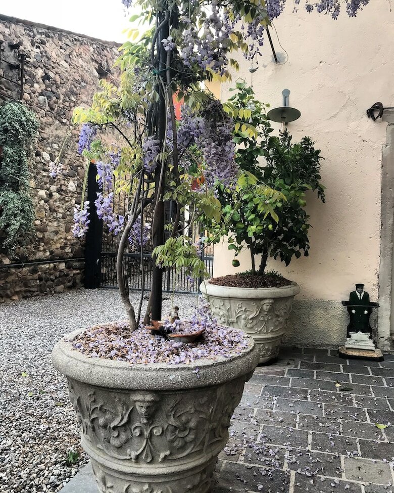 Bed & Breakfast Corte Del Mincio