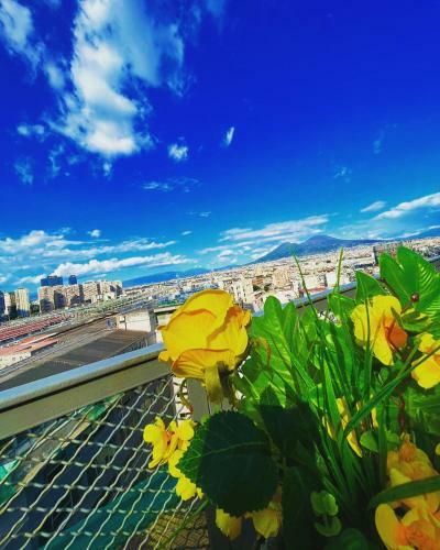 Hotel B&B Napoli's Rooftop