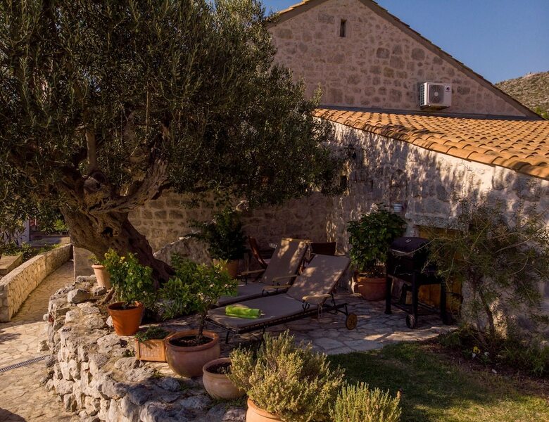 Olive Tree Cottage