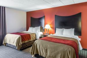 Hotel Comfort Inn Bwi