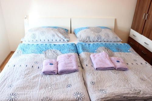 Hostal Penzi�n Terra Banensium