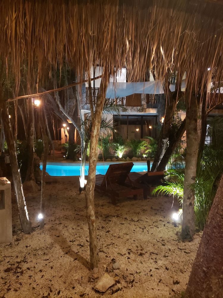 Apartamentos Jungle Penthouse