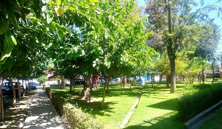 Foresta Hostal