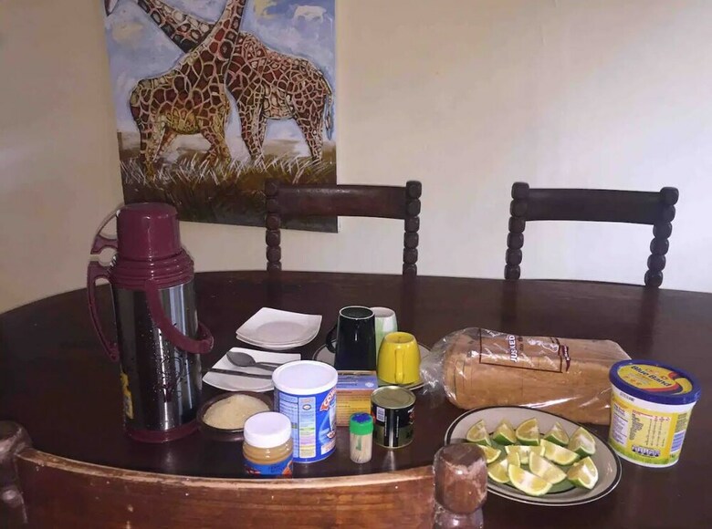 Bed & Breakfast African Jungles Bnb