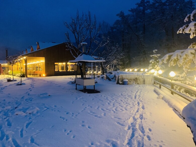Hotel Abant Hitit Otel Restaurant