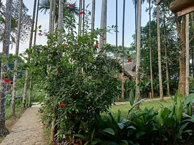 Hostal Pu Luong Discovery - Hostel