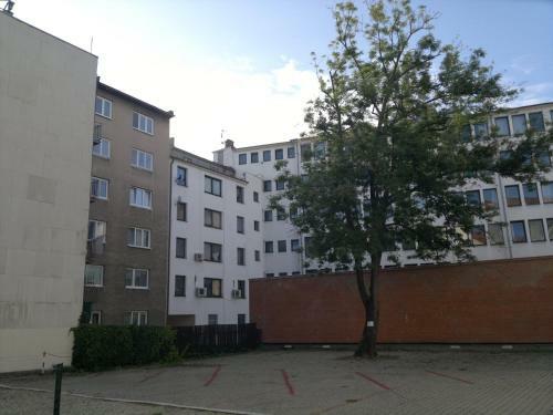 Apartman Maximilian