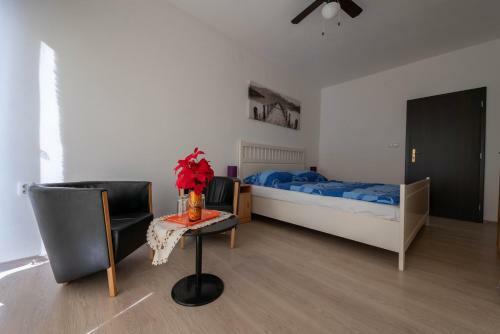 Hostal Penzi�n Vilo