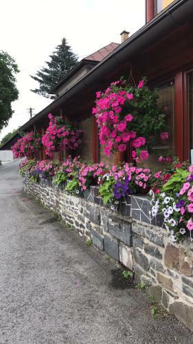 Hostal Penzi�n Holub