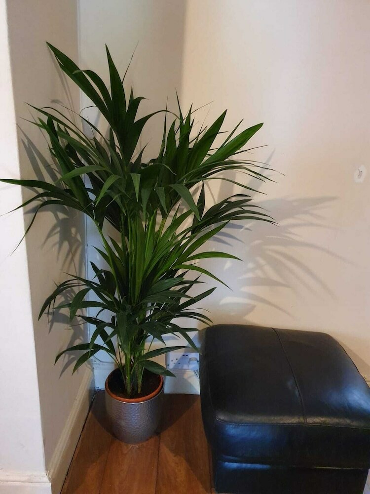 Hotel Chaps Guesthouse Southampton