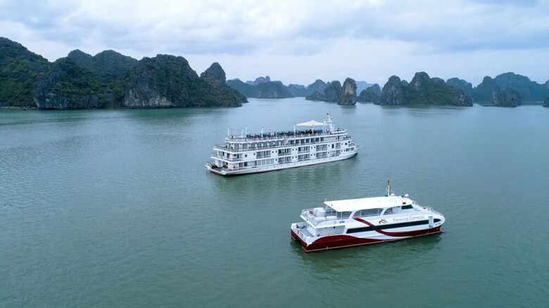 Paradise Grand Cruise