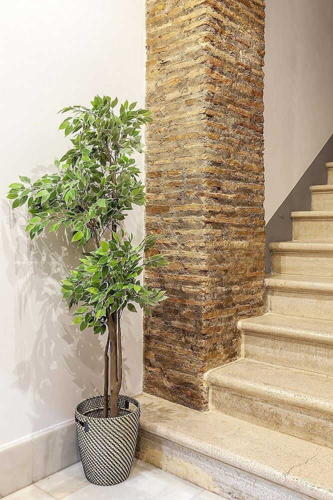 Molinos Apartments City Centre