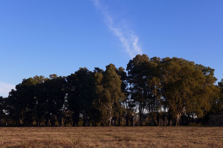 Posada El Retiro Polo Club