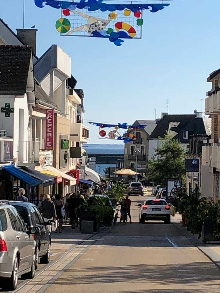 Balbuzard Pecheur