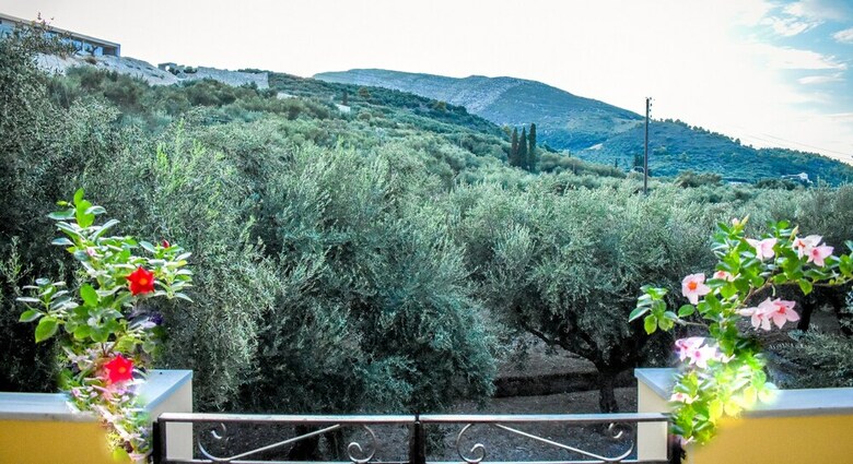 Olive Grove Private Residence
