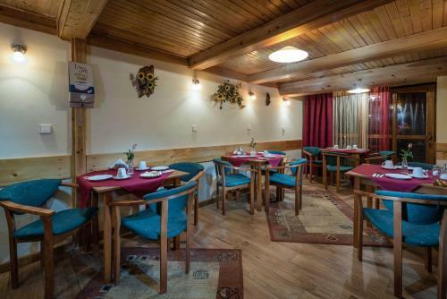 Hostal Vila House Family