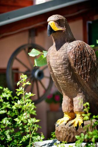 Hostal Penzion Plesnivec